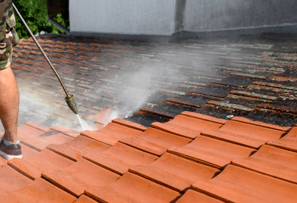 Best Affordable Pressure Washing  in Nanakuli, HI