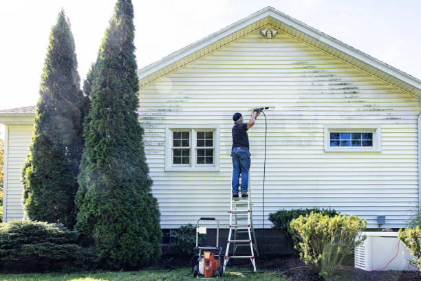 Why Choose Our Certified Pressure Washing Experts for Your Project Needs in Nanakuli, HI?